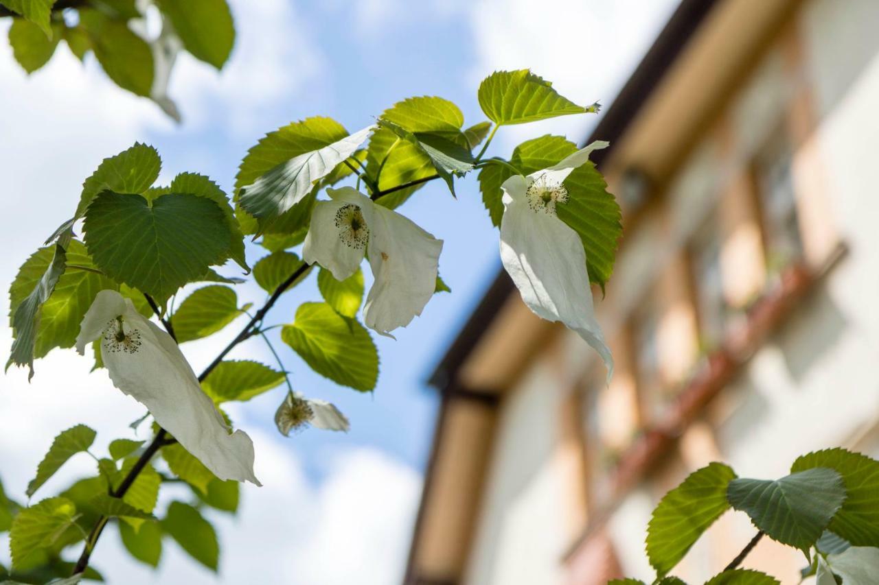 Gaestehaus Musmann Hannoversch Münden Buitenkant foto