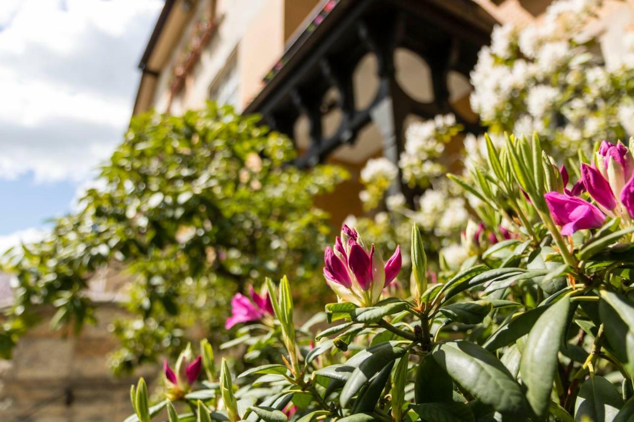Gaestehaus Musmann Hannoversch Münden Buitenkant foto